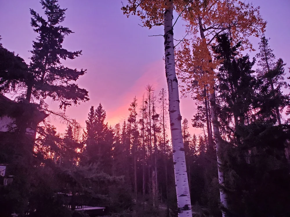 A Breathtaking Sunset