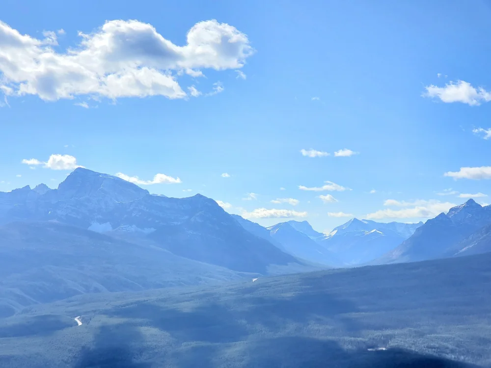 Castle Mountain Lookout: A Vast Blue Expanse