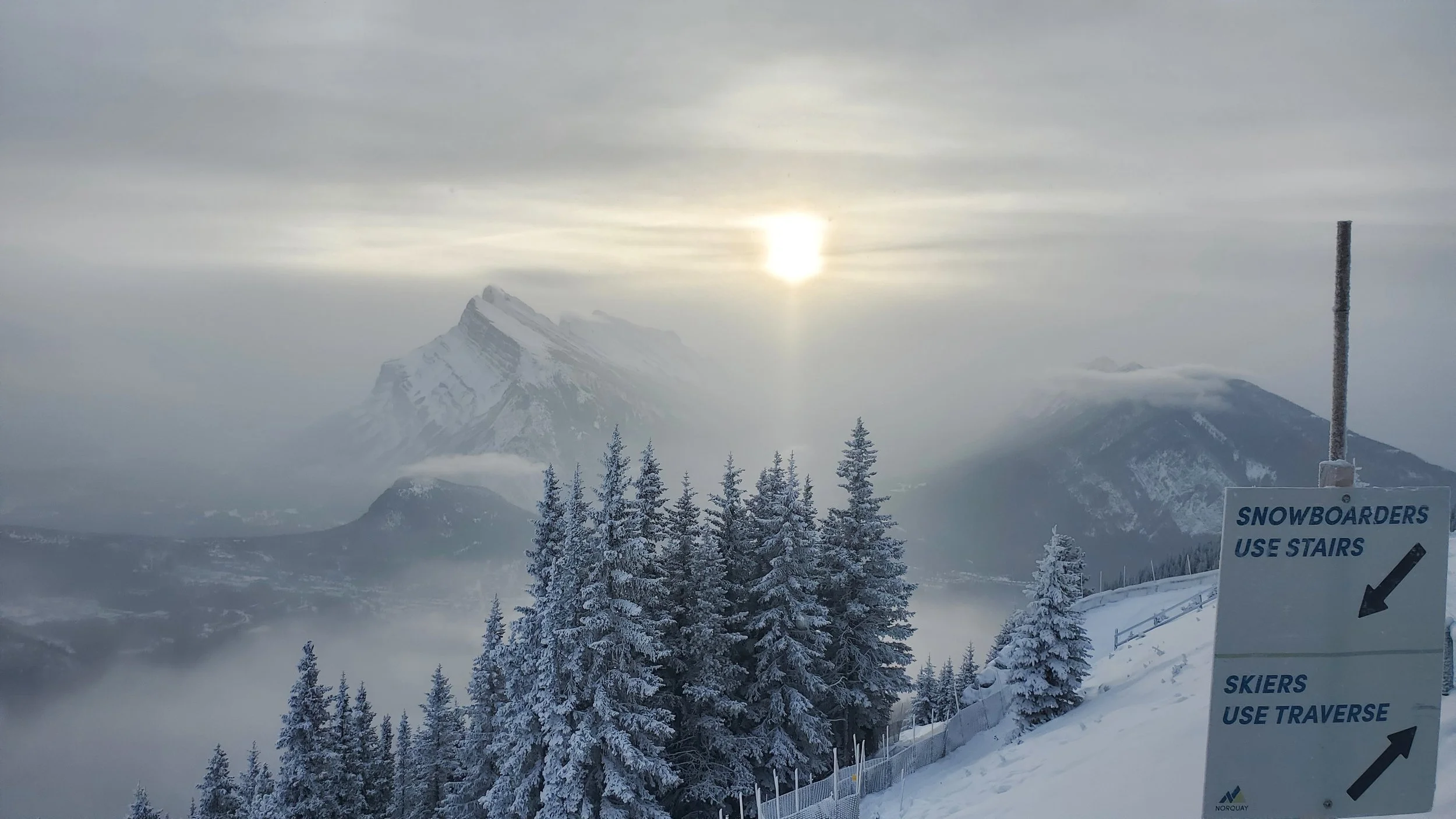 Harmonies of Heritage: An Artistic Journey Through Time, Nature, and Societal Narratives