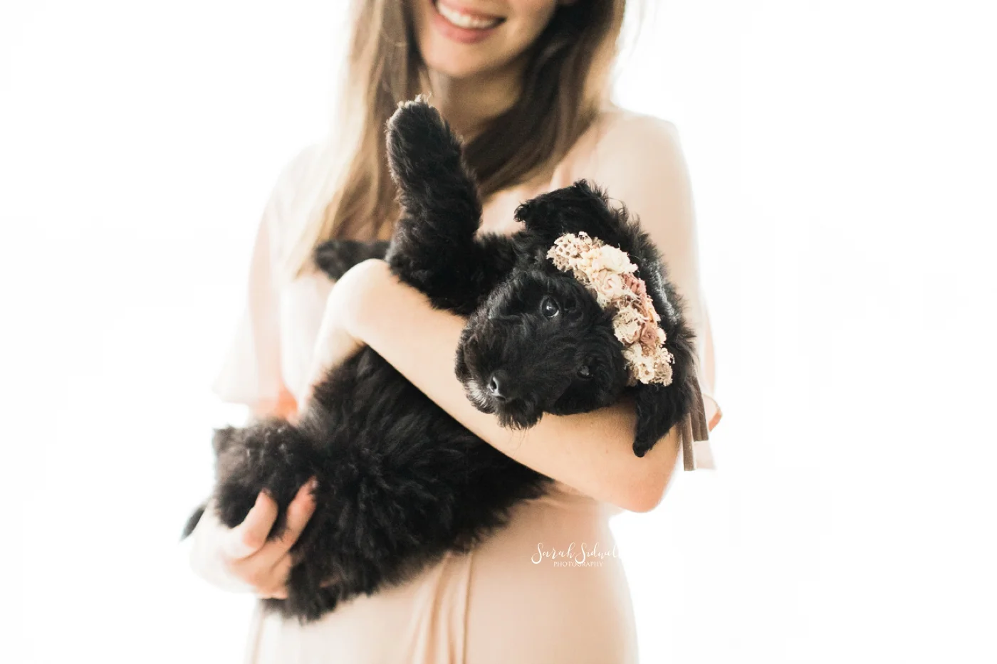 Newborn Puppy Session | Sarah Sidwell Photography