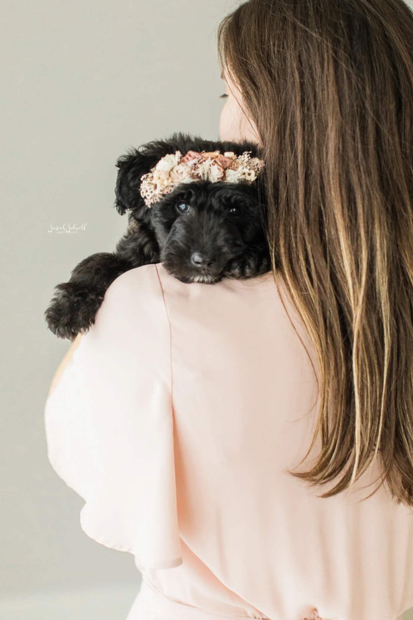 Newborn Puppy Session | Sarah Sidwell Photography