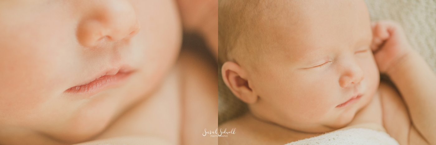 Newborn and Maternity | Sarah Sidwell Photography