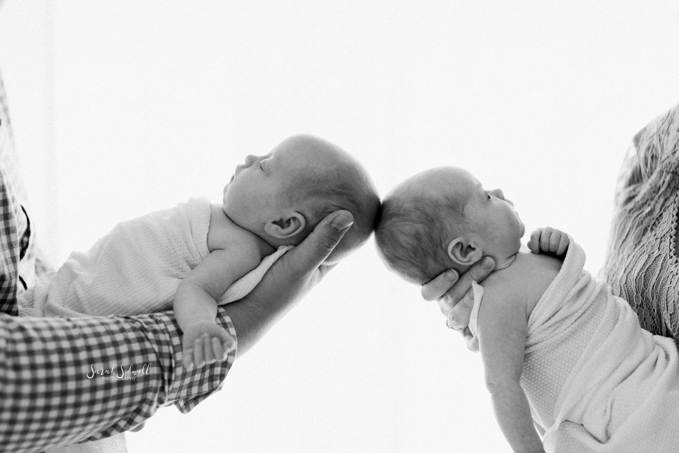 Newborn Twin Session | Sarah Sidwell Photography