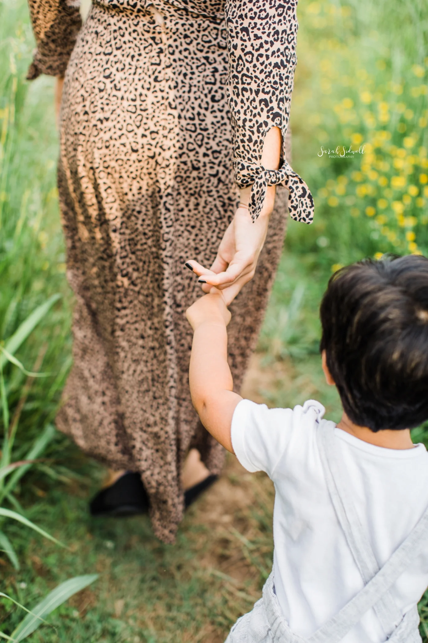 Nashville Family Photographer | Capturing the Best Light