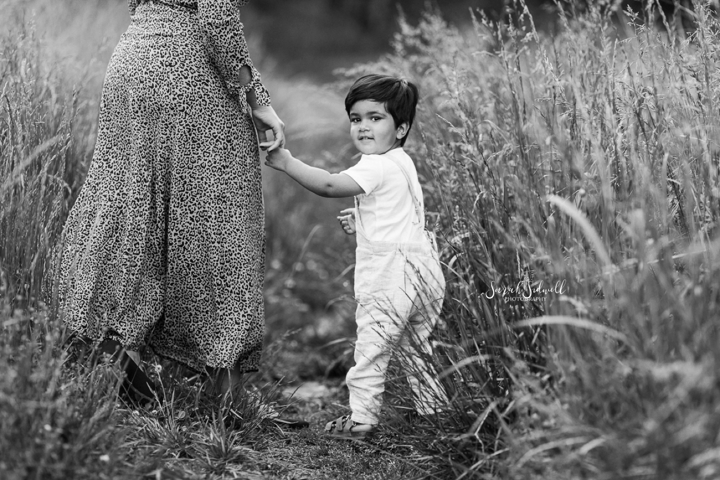 Nashville Family Photographer | Capturing the Best Light