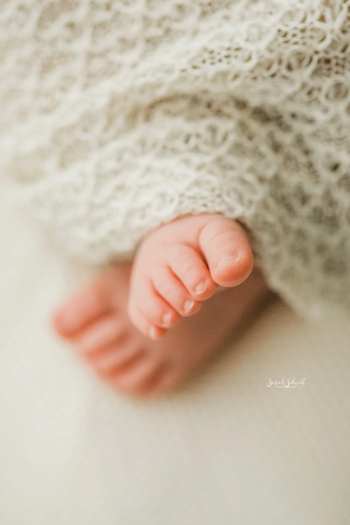 Nashville Newborn Studio Session | Julie Ann