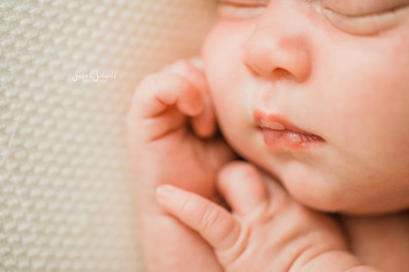 Nashville Newborn Studio Session | Julie Ann