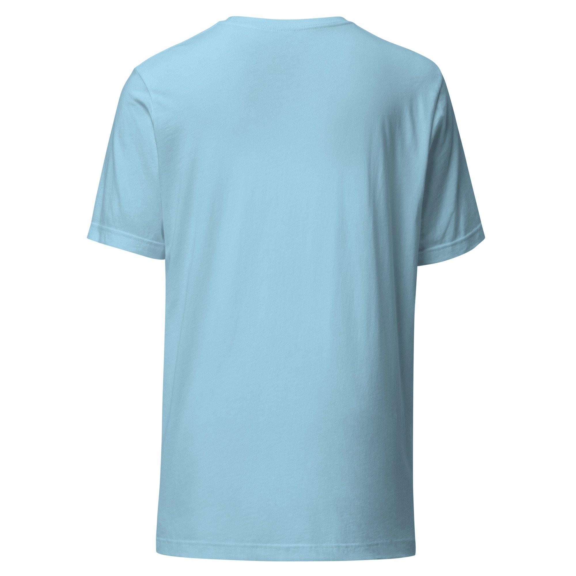 unisex-staple-t-shirt-ocean-blue-back-6a380ff7d155e.jpg