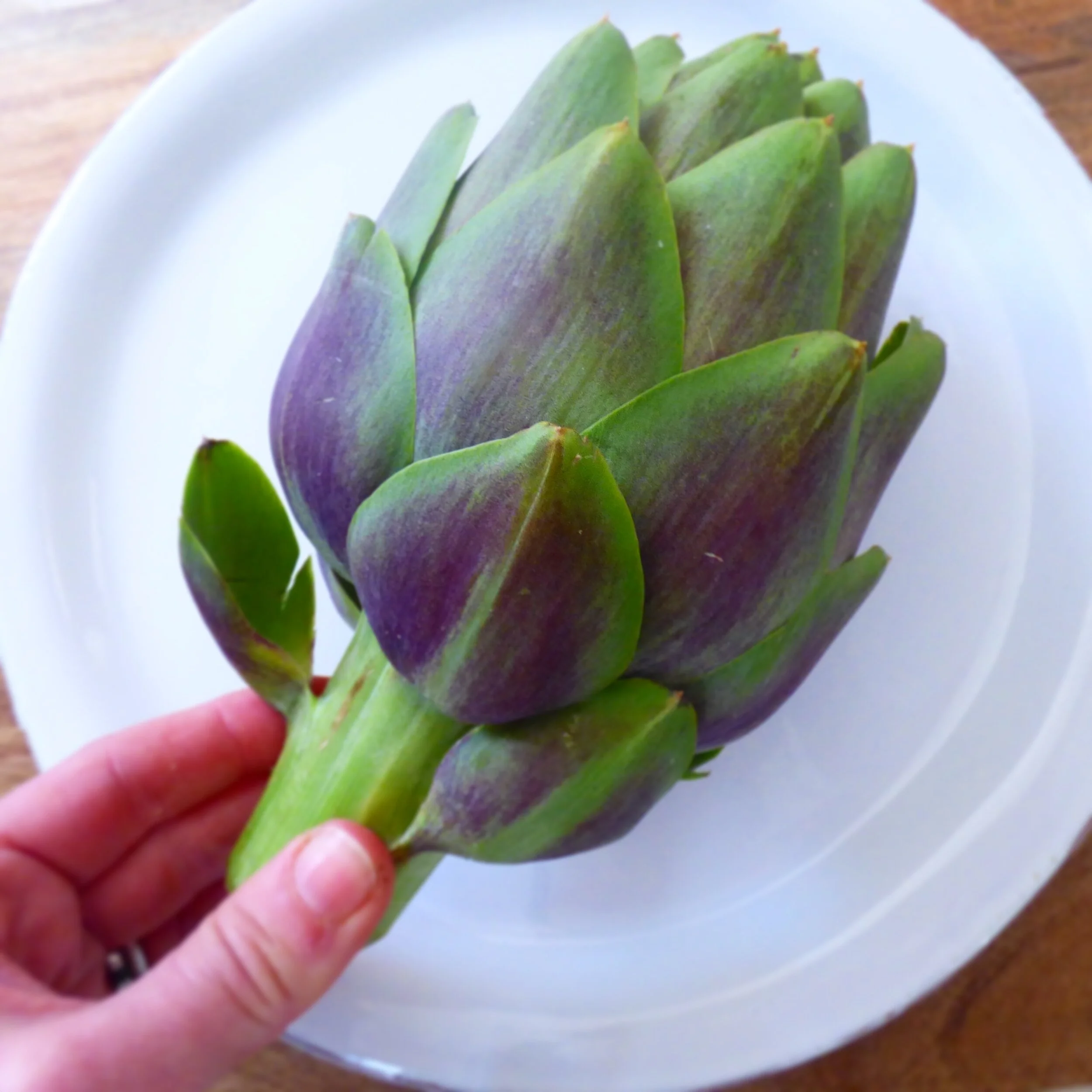 crab stuffed artichokes