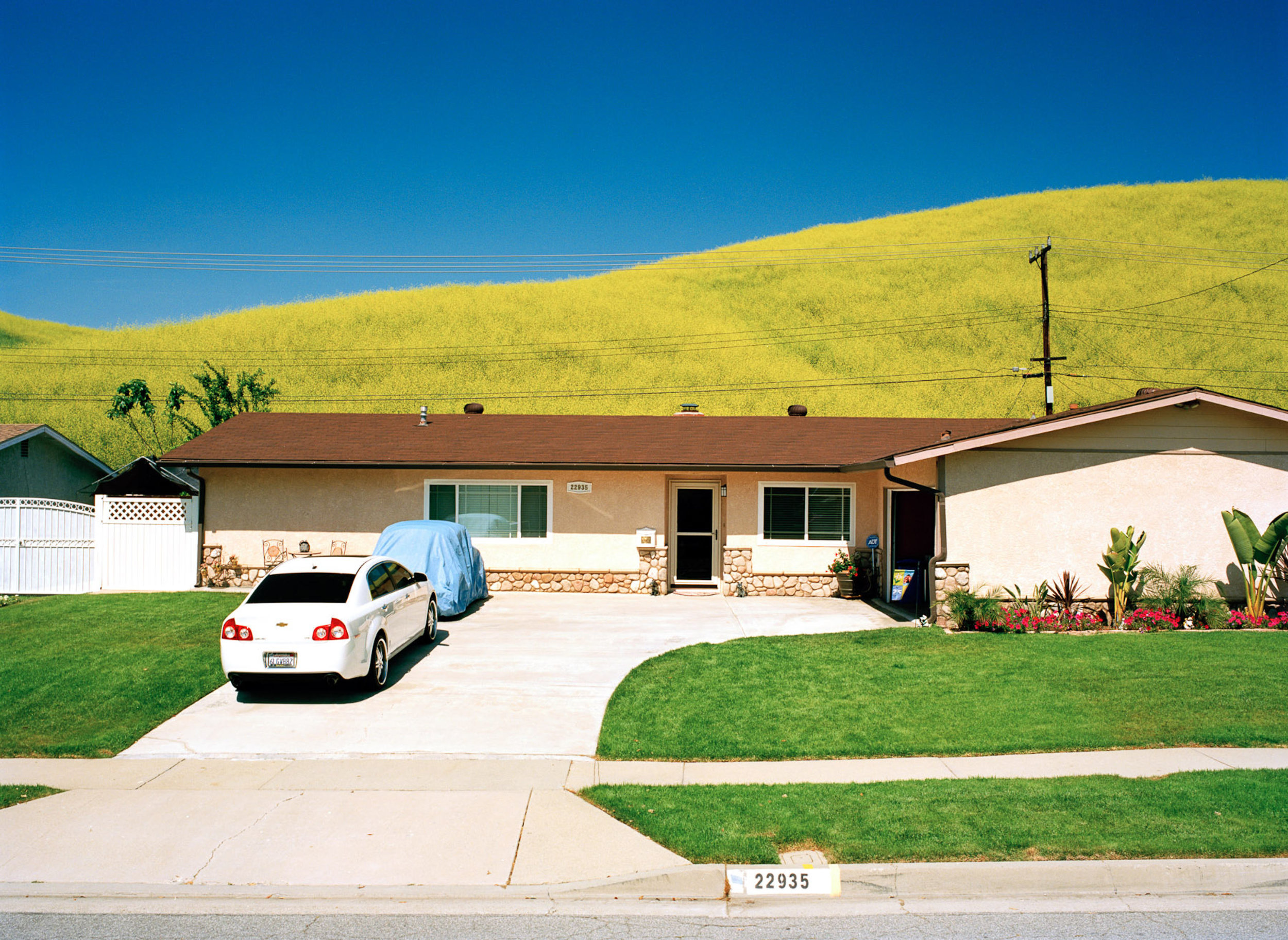   Utopia is an observation of the suburban neighborhoods I was raised in on the edge of Los Angeles County.  