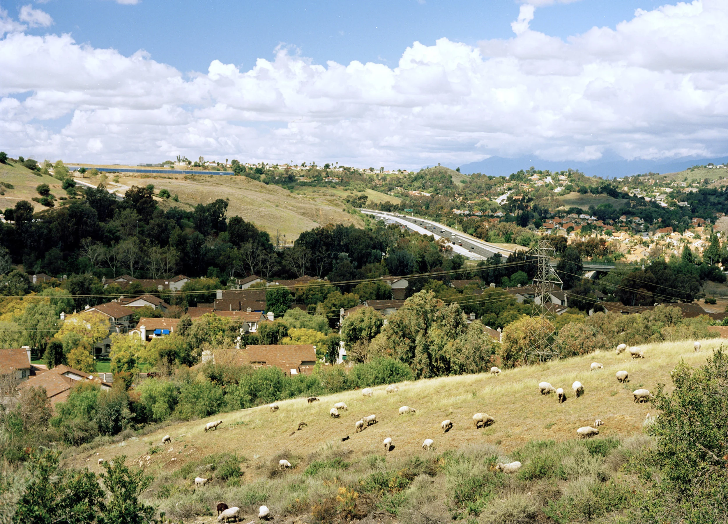 Utopia is an observation of the suburban neighborhoods I was raised in on the edge of Los Angeles County.