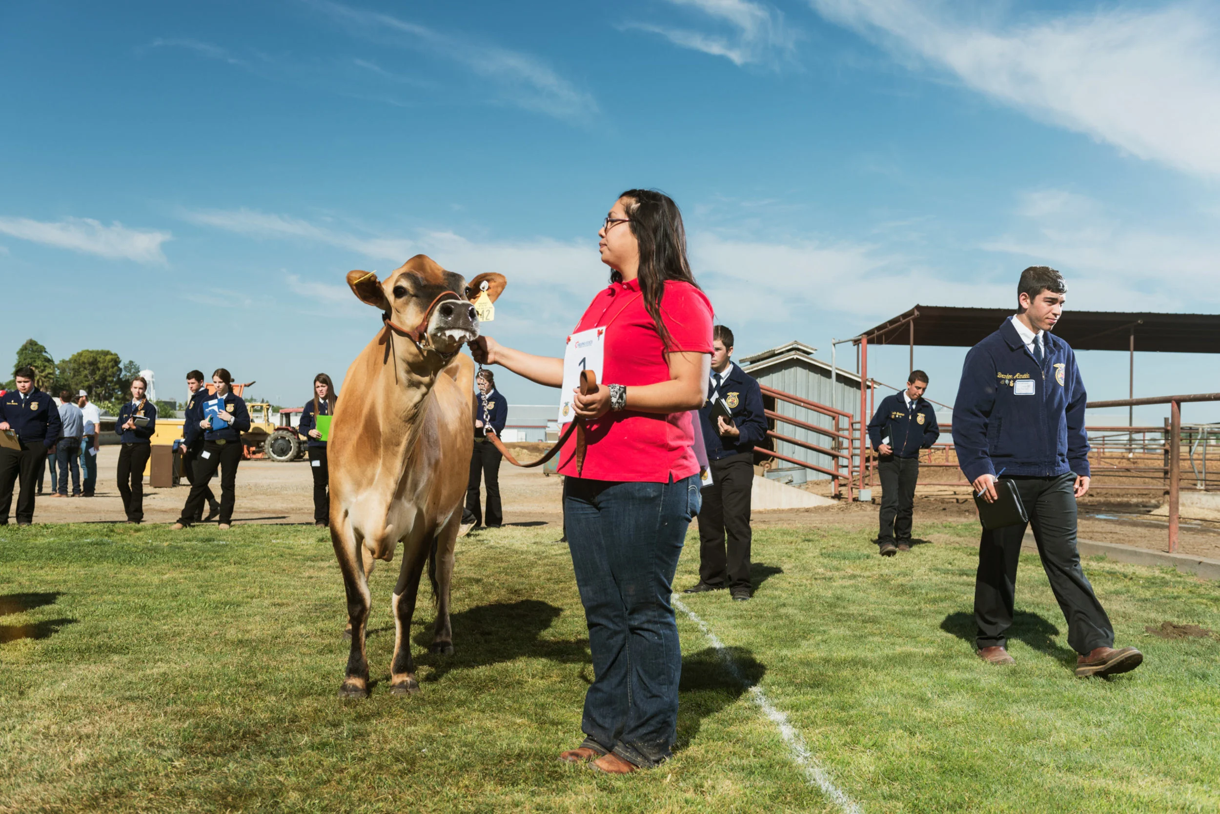 The California Future Farmers of America is trying to bring in more Latino students into the program, with hopes developing an interest in careers in agriculture, as half of all farm laborers and operators in the U.S. are Hispanic. I photographed the 2015 California FFA state championship at Fresno State University for Bright, Medium's education platform.