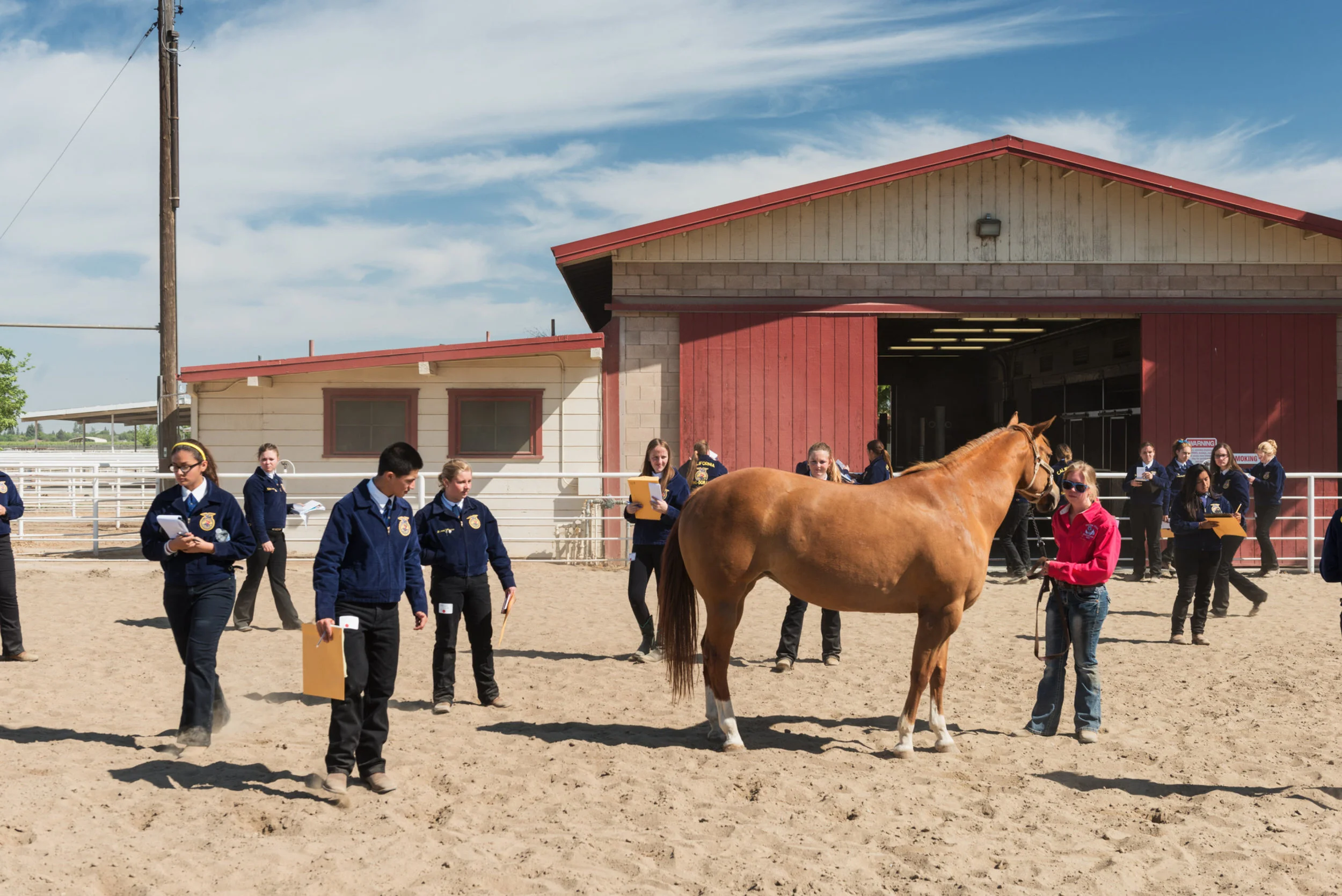 The California Future Farmers of America is trying to bring in more Latino students into the program, with hopes developing an interest in careers in agriculture, as half of all farm laborers and operators in the U.S. are Hispanic. I photographed the 2015 California FFA state championship at Fresno State University for Bright, Medium's education platform.
