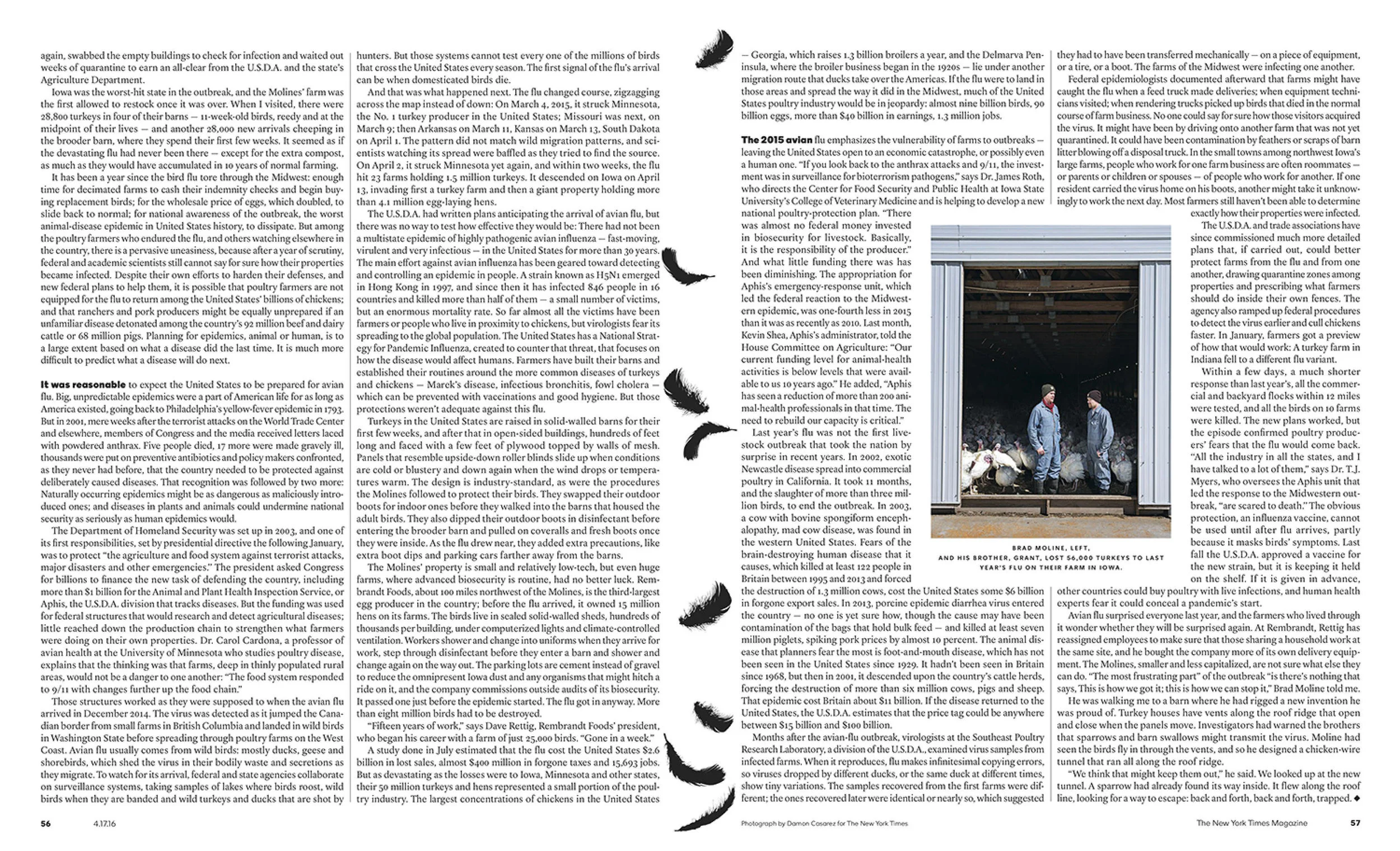 In 2015, one of the worst outbreaks of avian flu ripped through the poultry farms throughout the midwest, killing millions of chickens and turkeys. The U.S.D.A. and poultry farmers were left to figure out how to protect themselves for the next outbreak that could hit at any time. Photographs were taken at Moline Farms in Manson, IA, where brothers Brad and Grant lost 56,000 turkeys in 2015's outbreak. Taken for The New York Times Magazine.