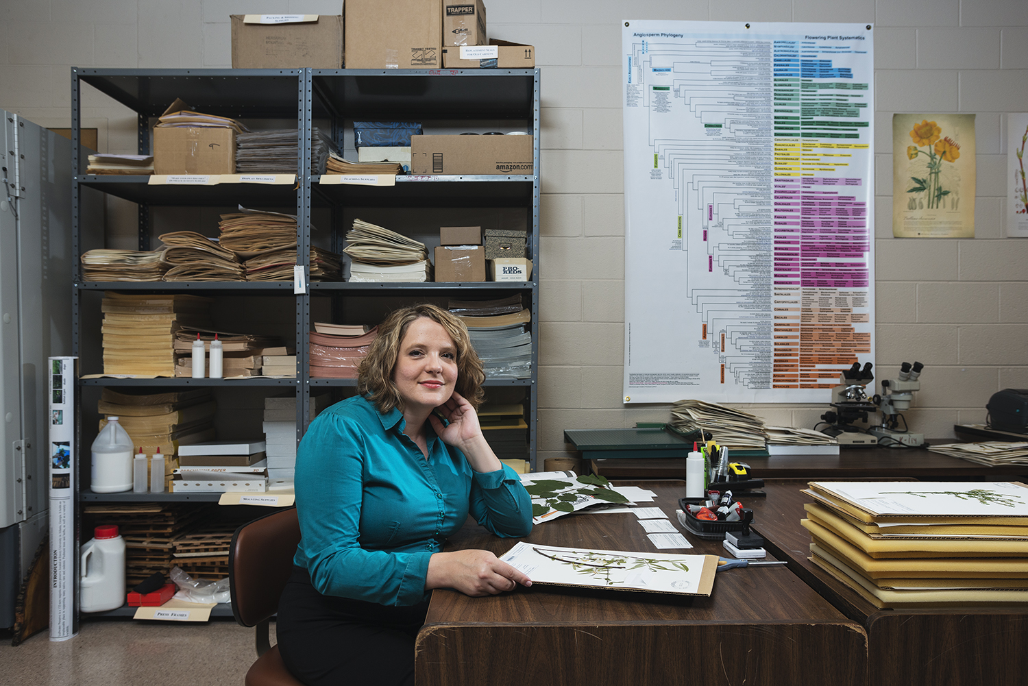 Dr. Quave in the herbarium