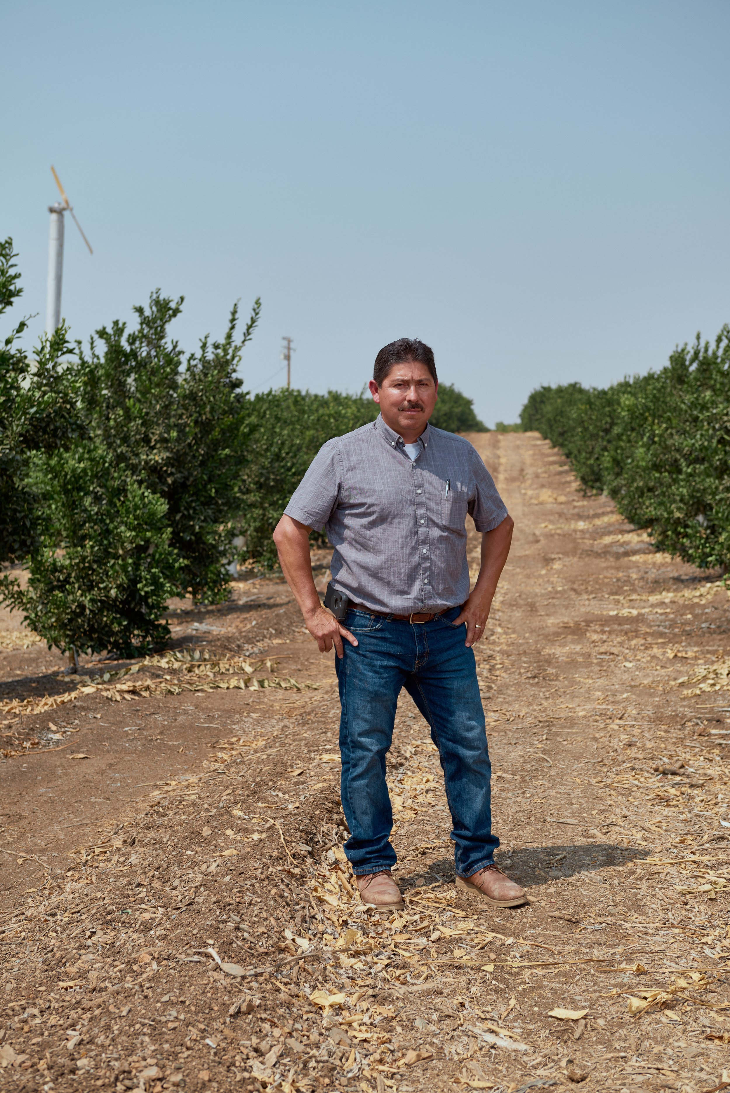 Gustavo Carranza, citrus farm in Terra Bella.  