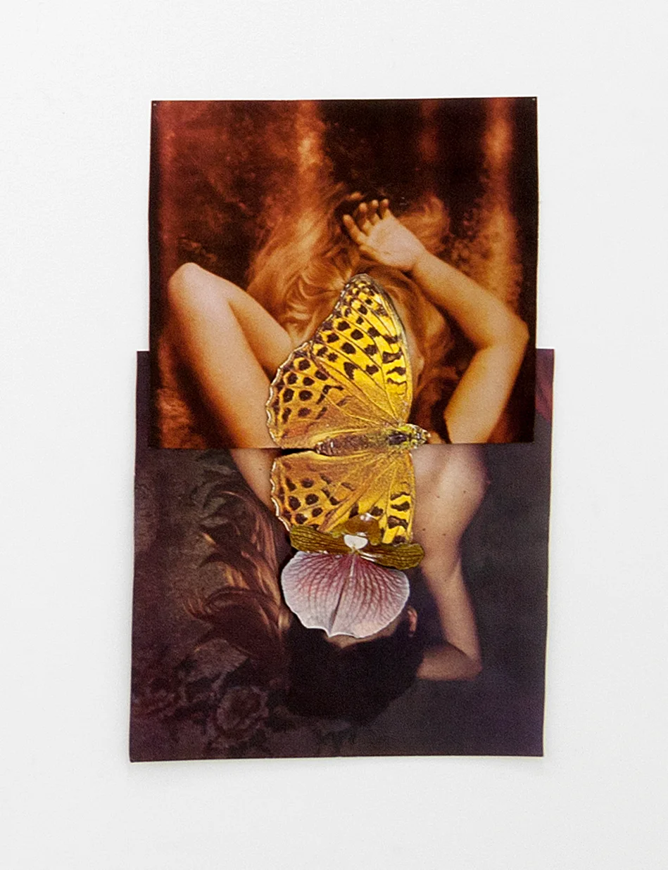 Jennifer Murphy, Mirror