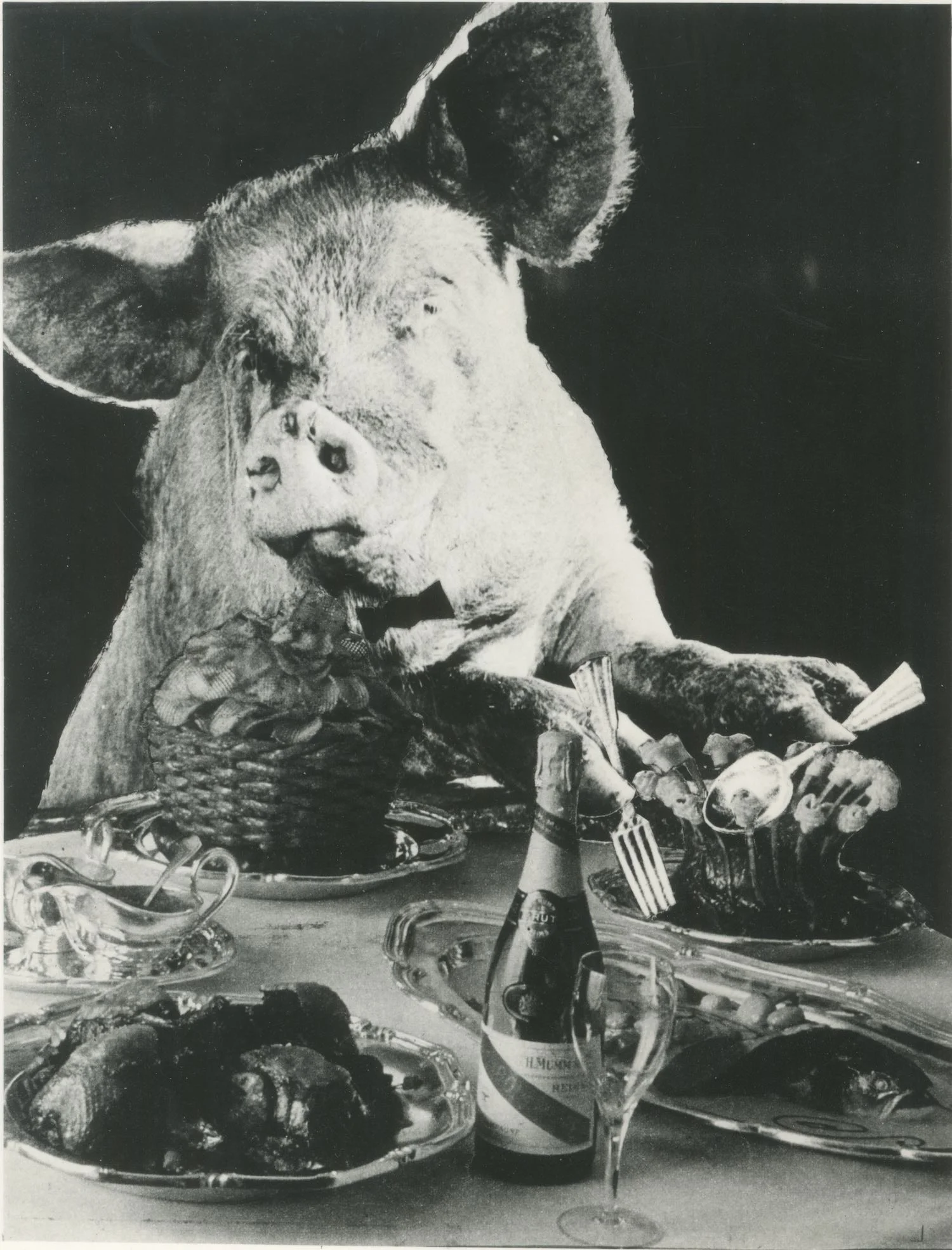 Inner artwork for Kate Tempest's Let Them Eat Chaos