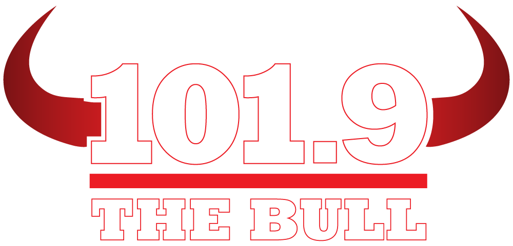 Impact_Bull_Logo_Final_White_Transparent.png