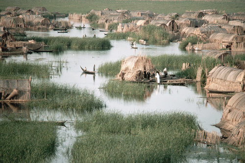 Nomadic Hunter-Gatherer Marsh Huts