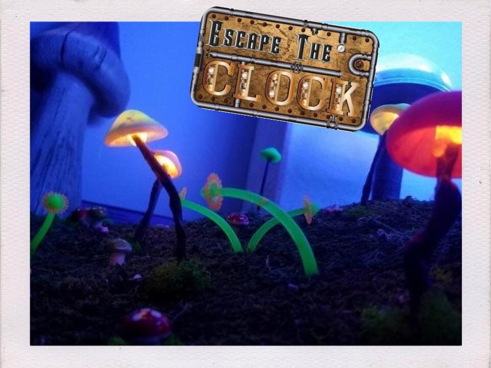 Alice in Wonderland .jpg