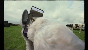 BILL AND MELINDA GATES FOUNDATION MANIFESTO 30