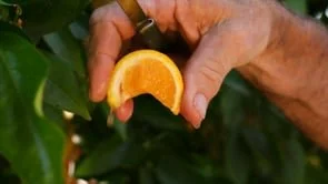 EV FRESH WE KNOW FRESH 60