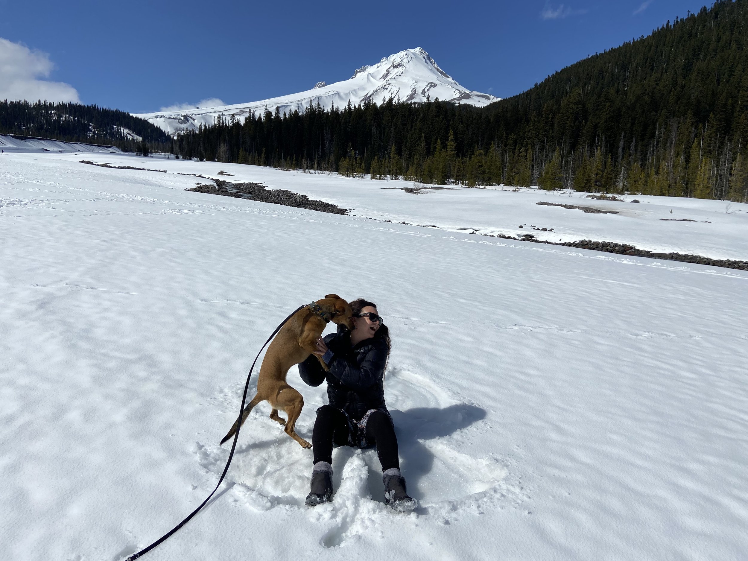 IMG-4465 - Baja MindBodySoul.jpg