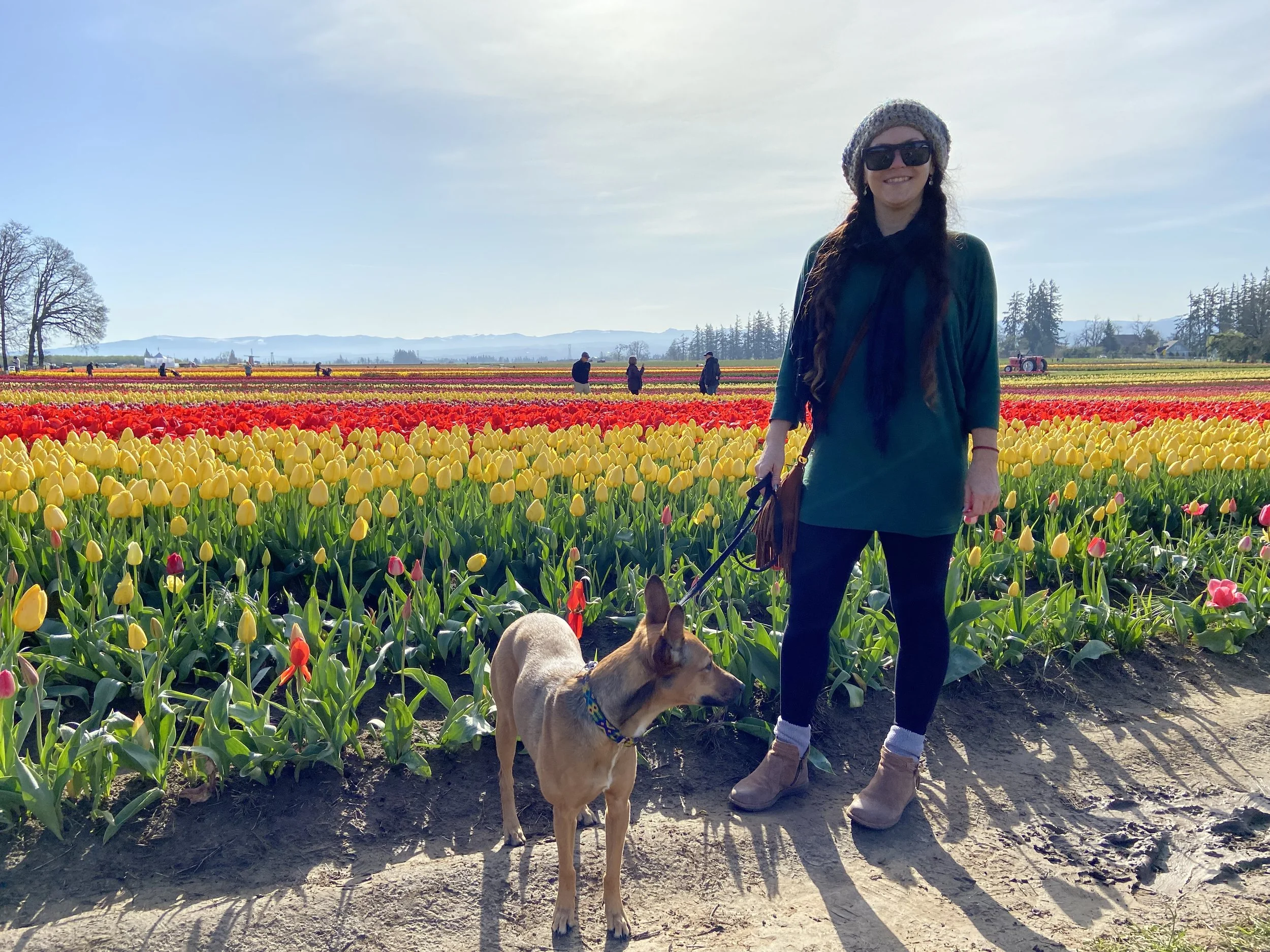 IMG-4632 - Baja MindBodySoul.jpg