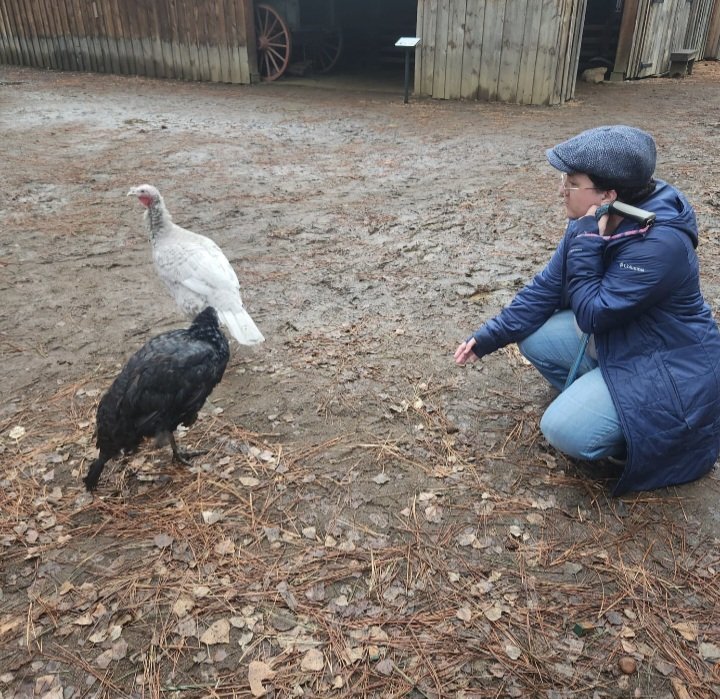 Screenshot_20260325_130107_Gallery - Elliot Todd.jpg