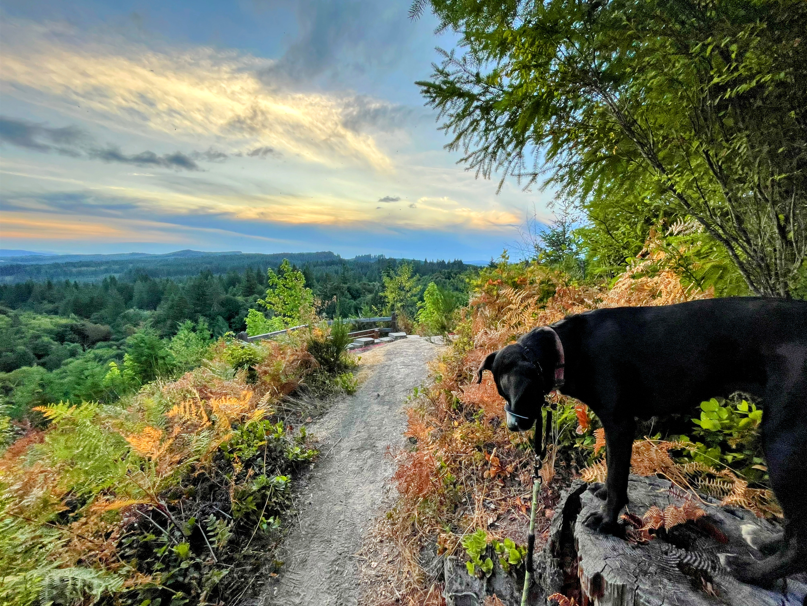 Screenshot 2026-04-05 125206.png