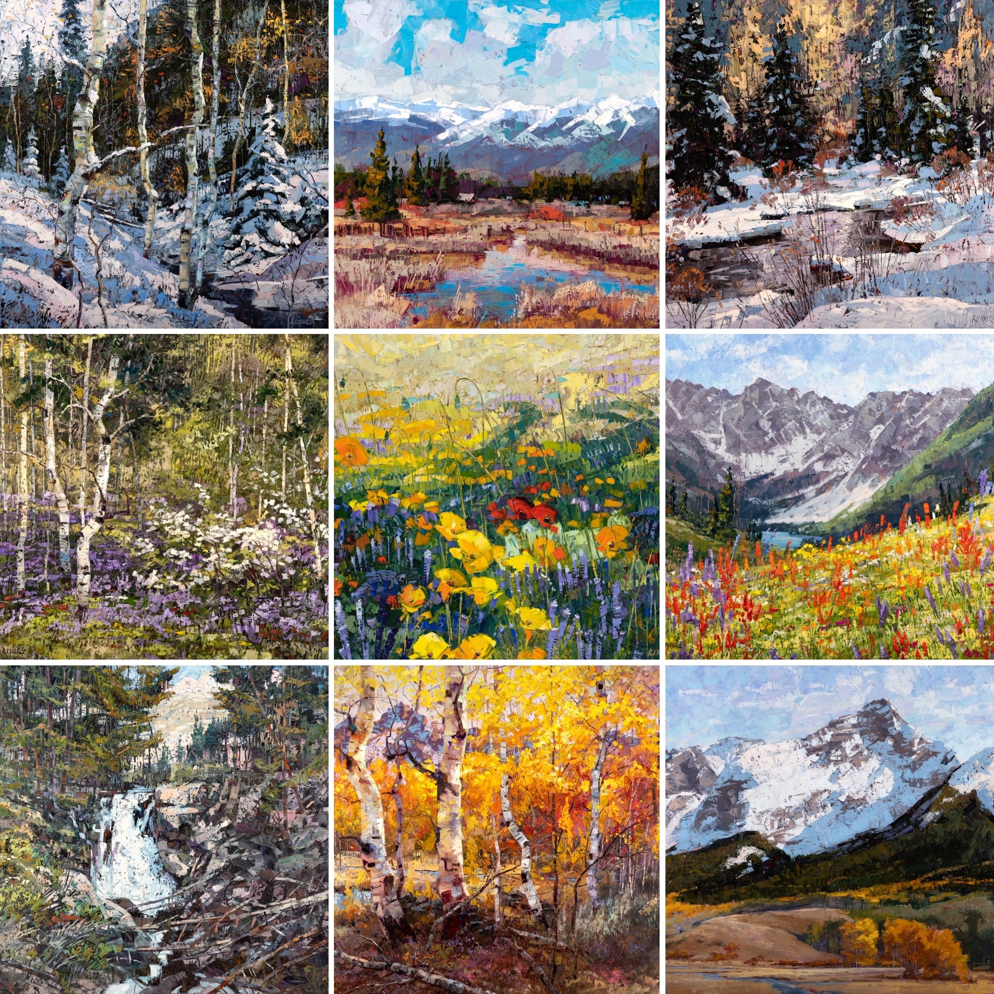 Photo Compilation 2026.JPG