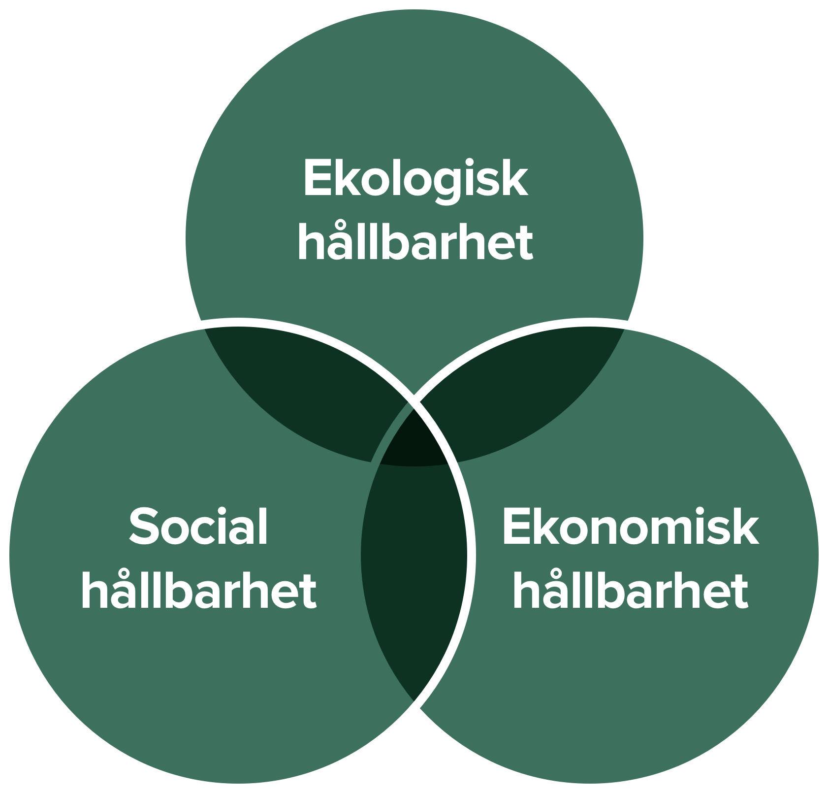 circles.png