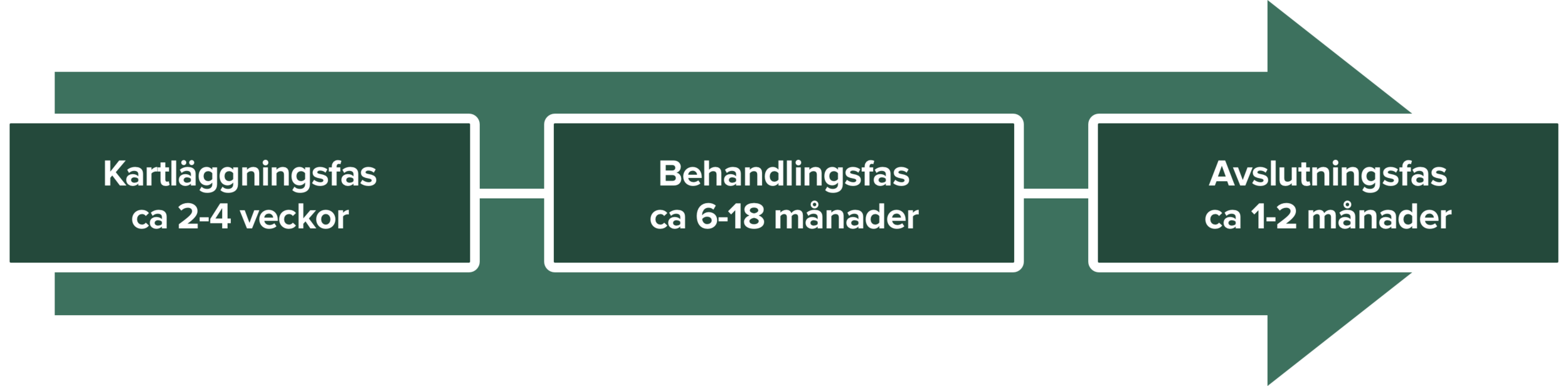 illustrativ bild som visar kartläggning för behandlingsfamilj