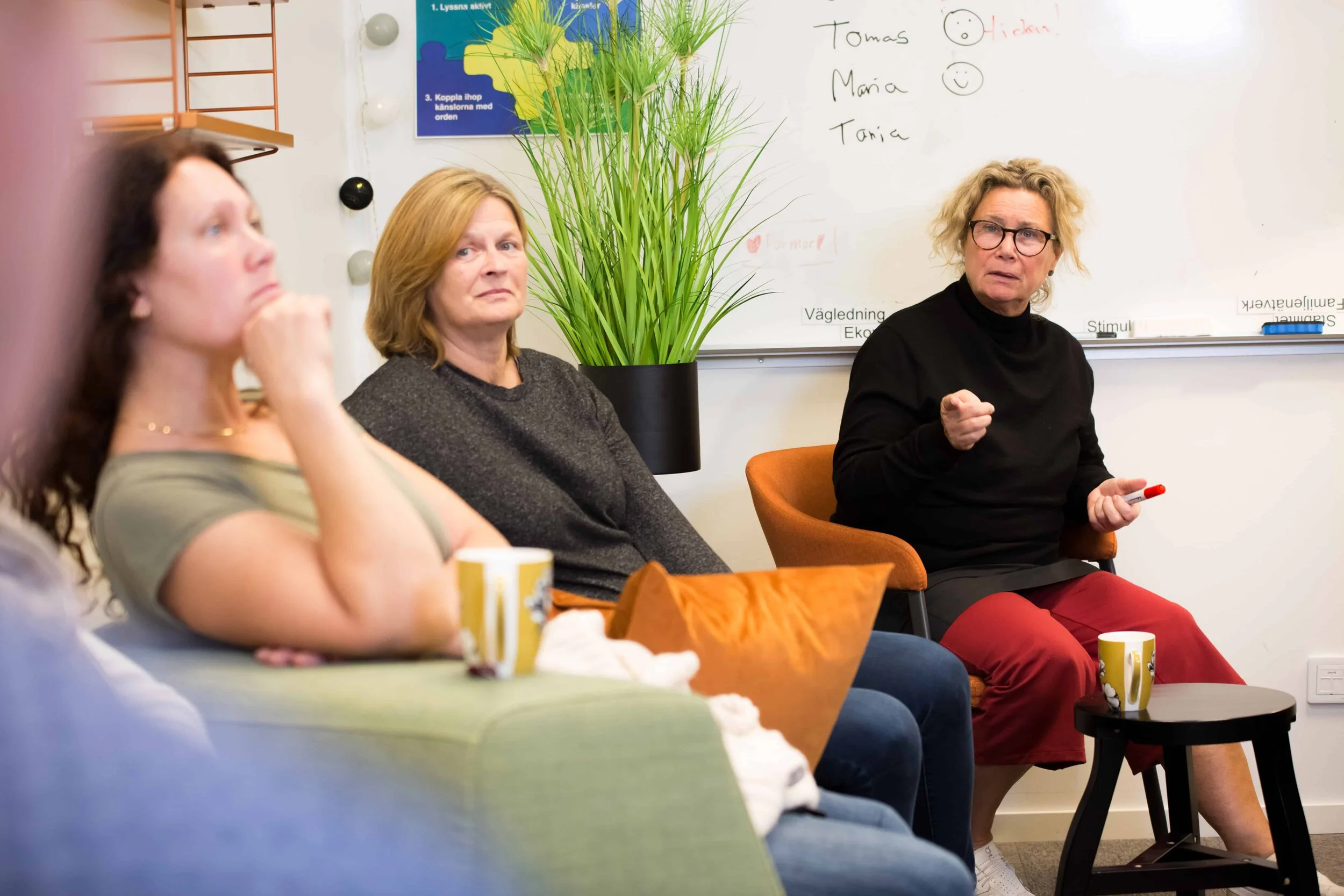 Ann Cederqvist, Parcergrundare och eldsjäl