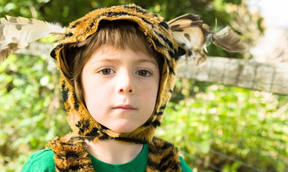 Bannerbilder-Pojke-tigerdräkt-socialtjänsten.jpg