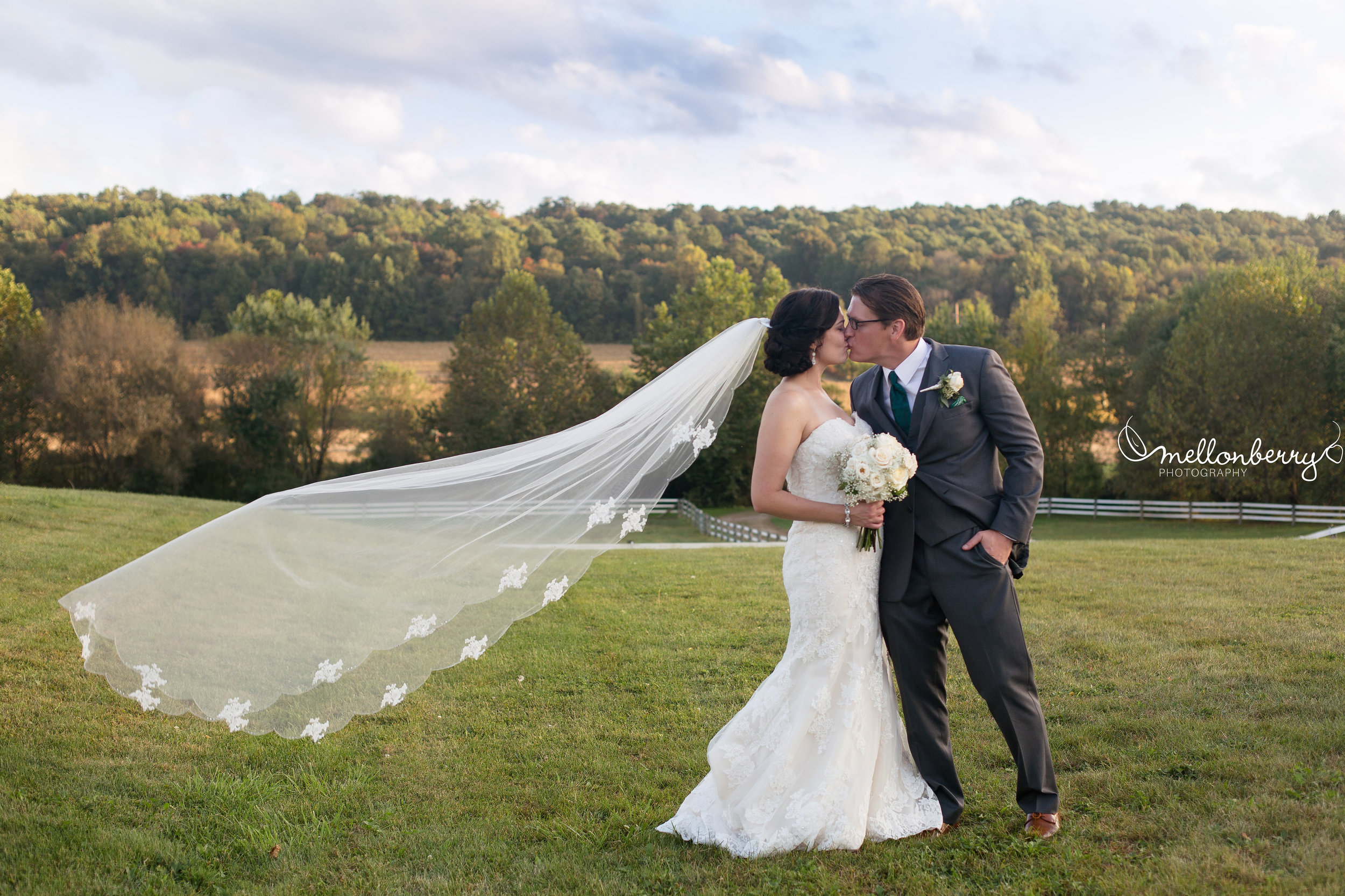 ashleigh and kevin color veil in valley.jpg