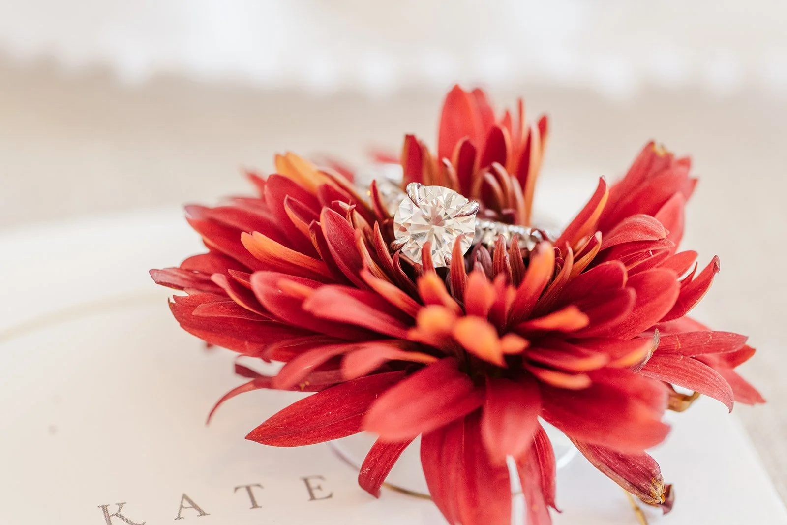 Kate and Mike Wedding-43.jpg