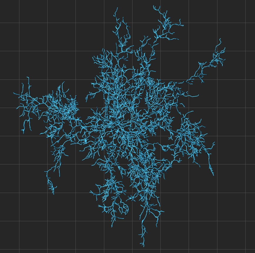 Protoplasmic astrocyte, rendering