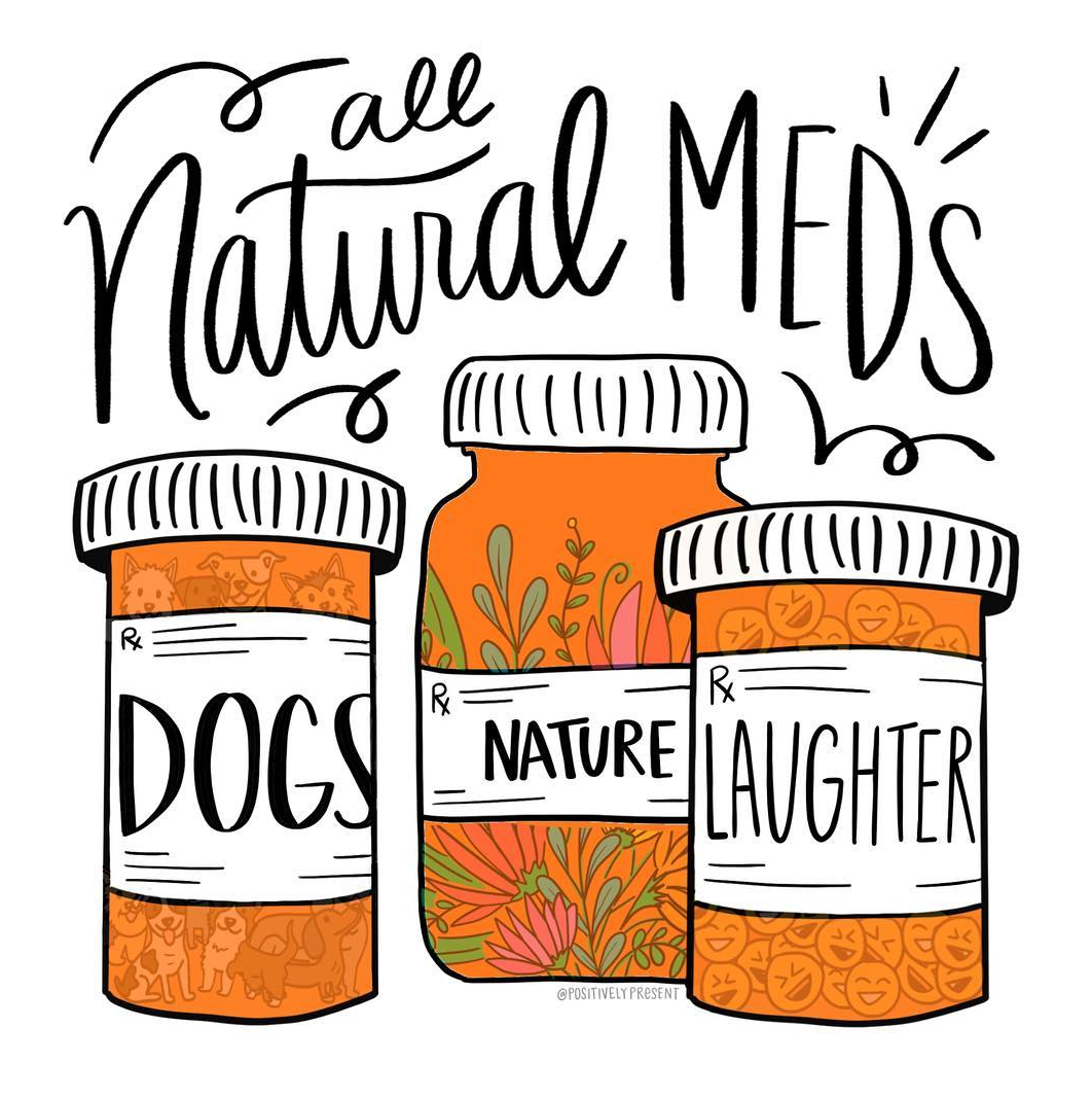 Lettering by Dani DiPirro on Hand Lettering for Beginners