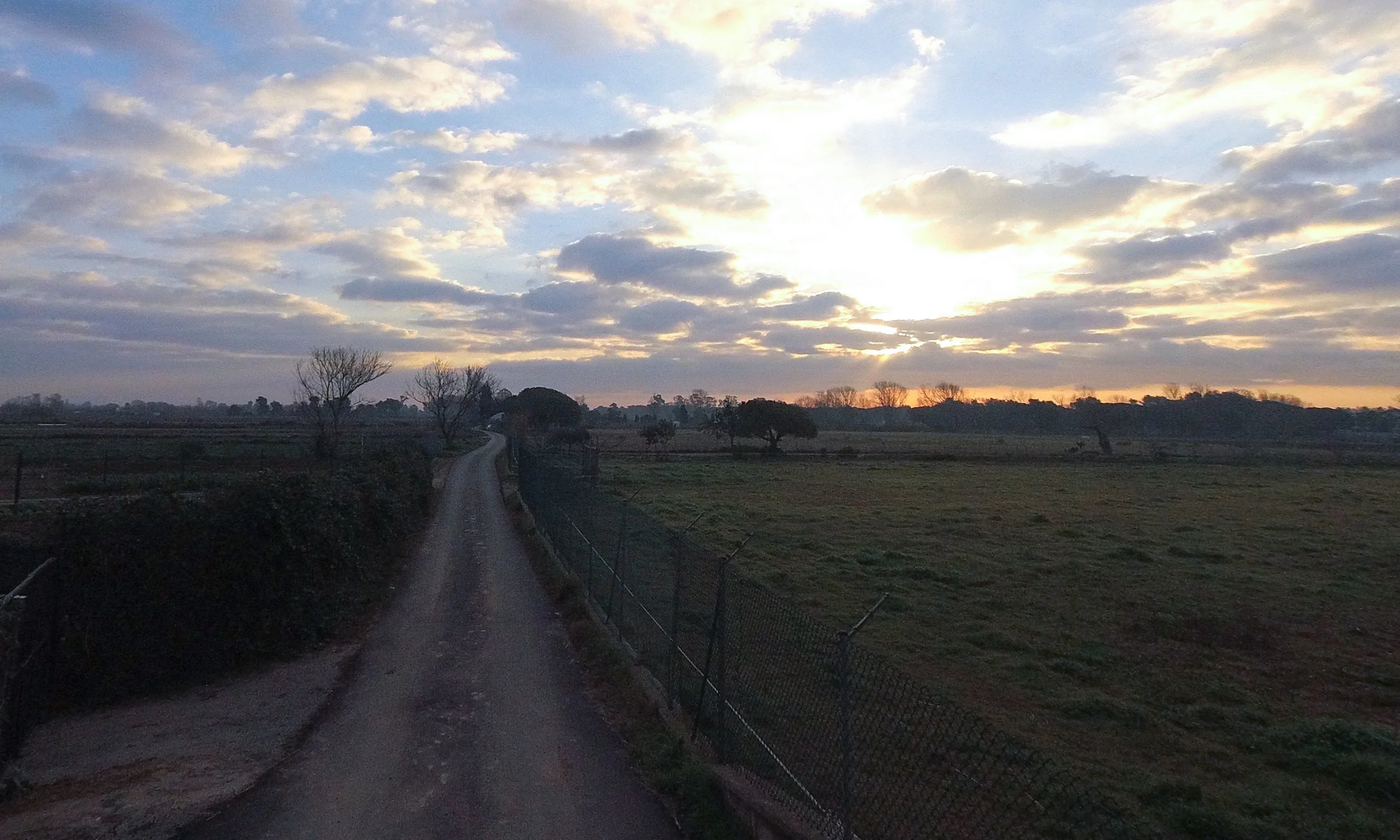 campo-6.jpg