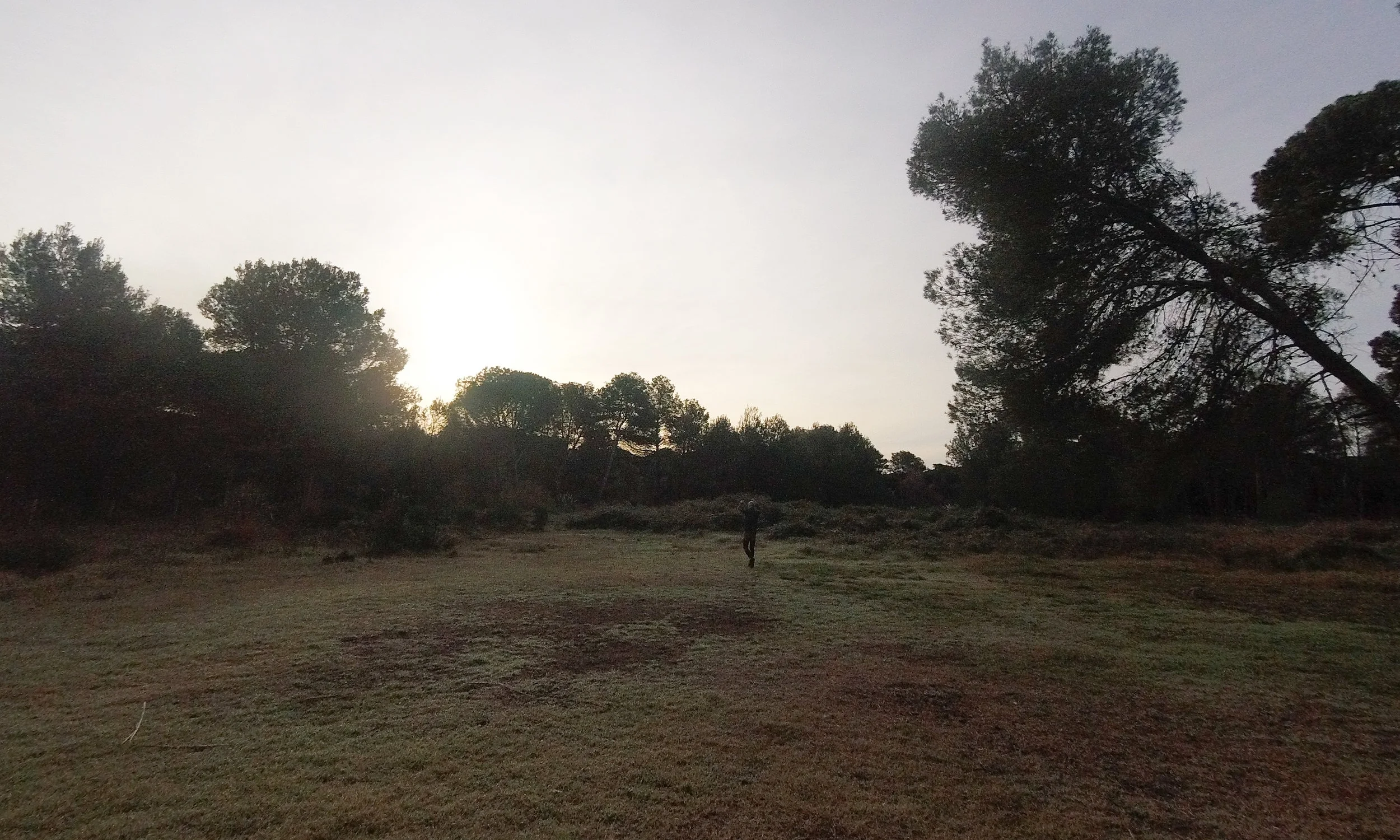 campo.jpg