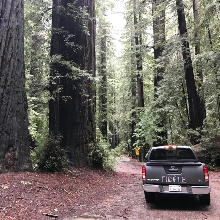 HUMBOLDT REDWOODS