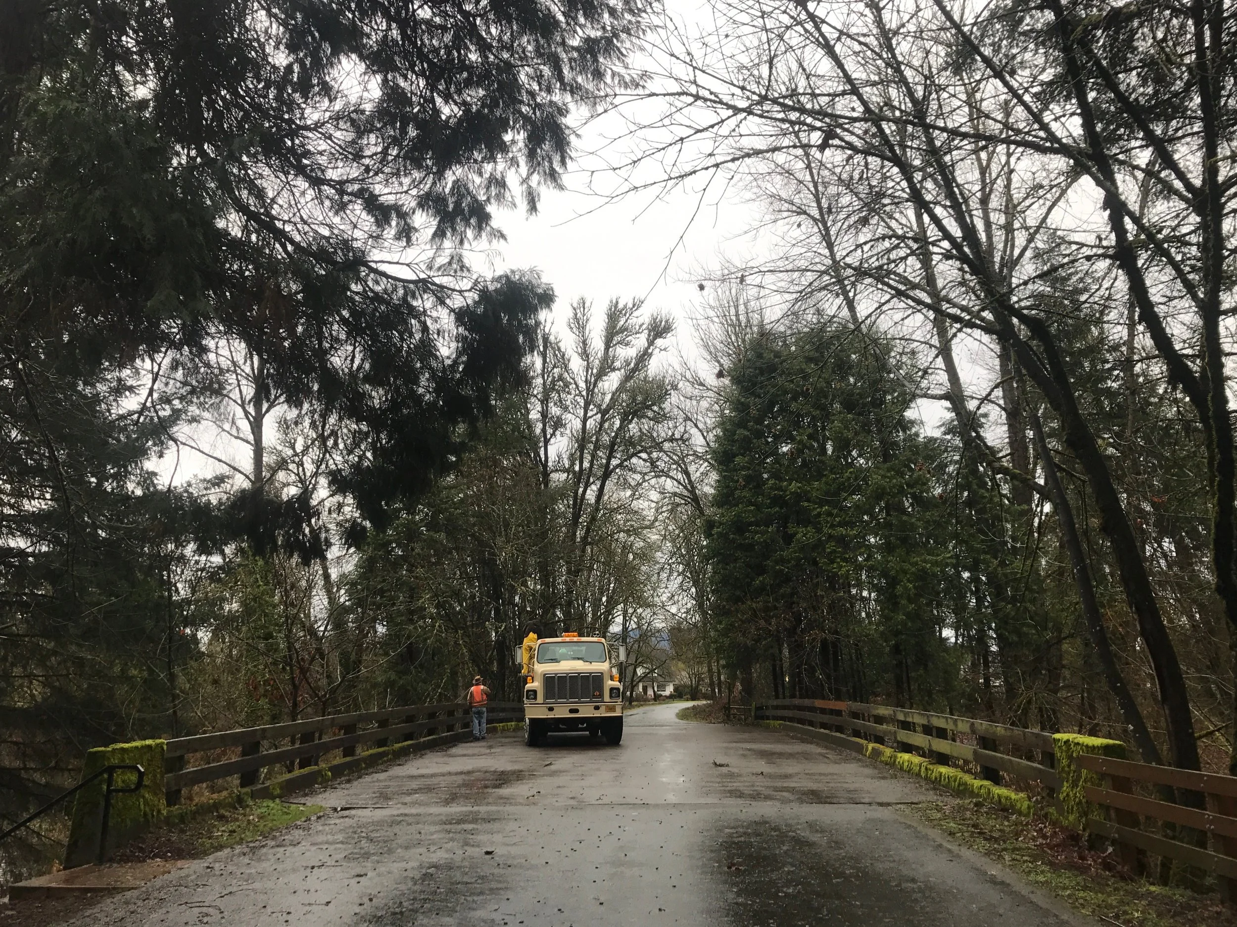 RUN TRIP - 12: F A K  EUGENE