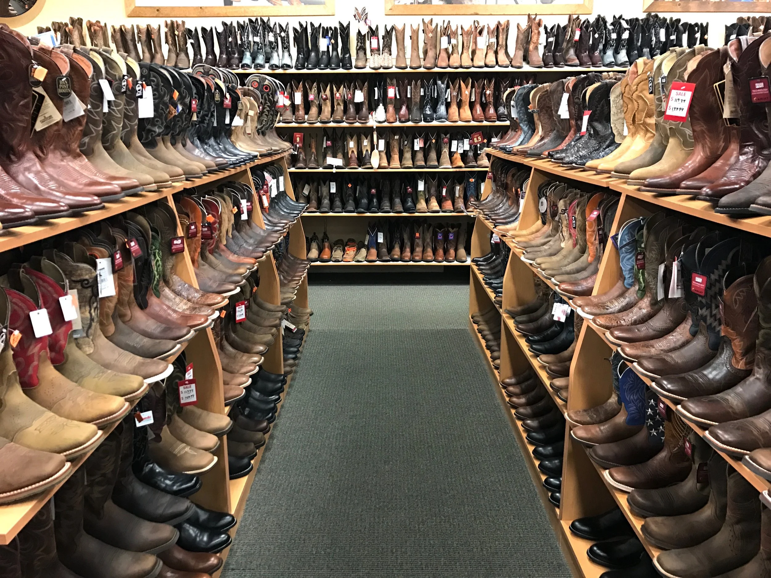 RUN TRIP - 11: EUGENE