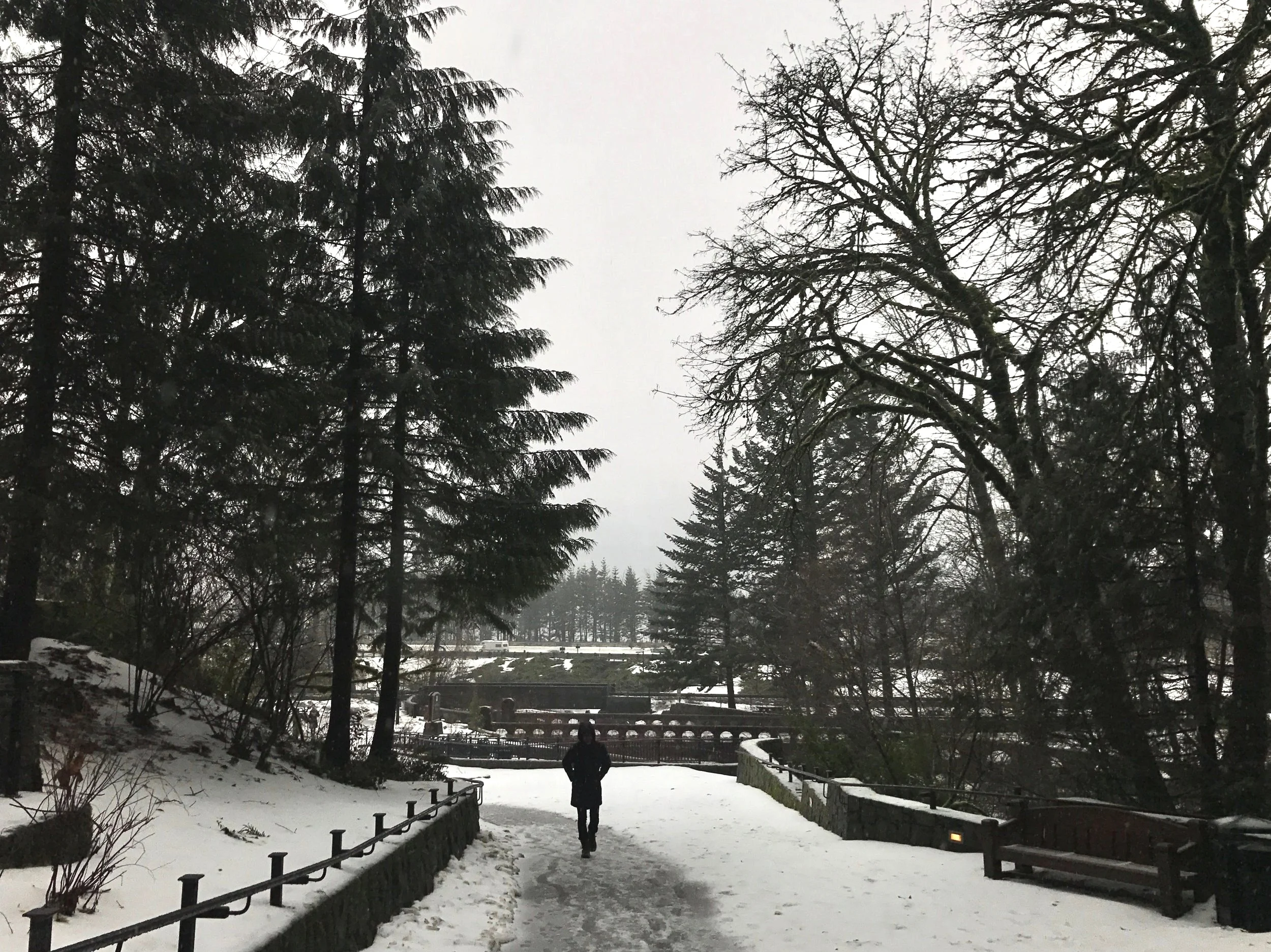 RUN TRIP - 10: PDX III 
