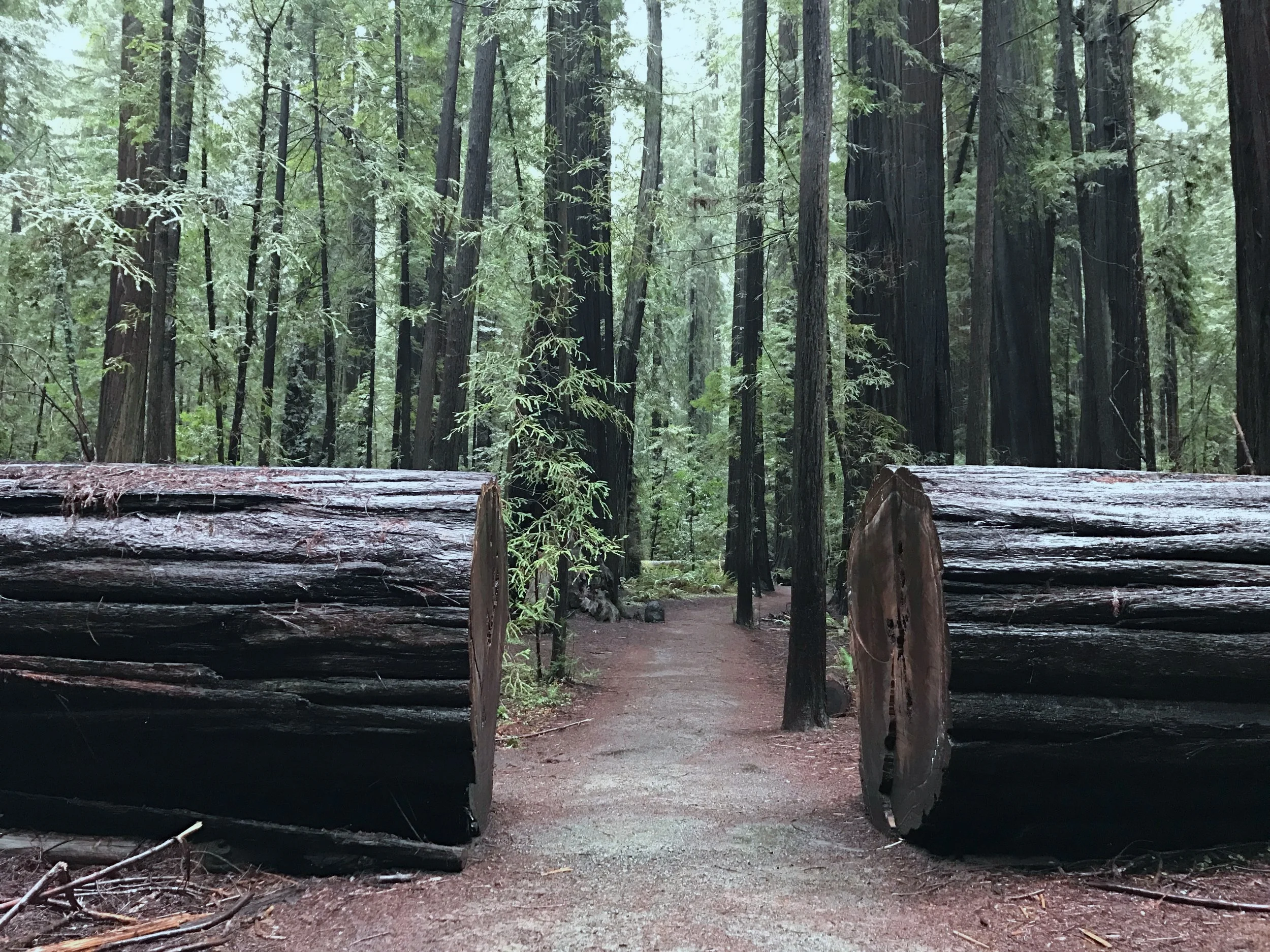 RUN TRIP - 3: MENDOCINO - COOS BAY