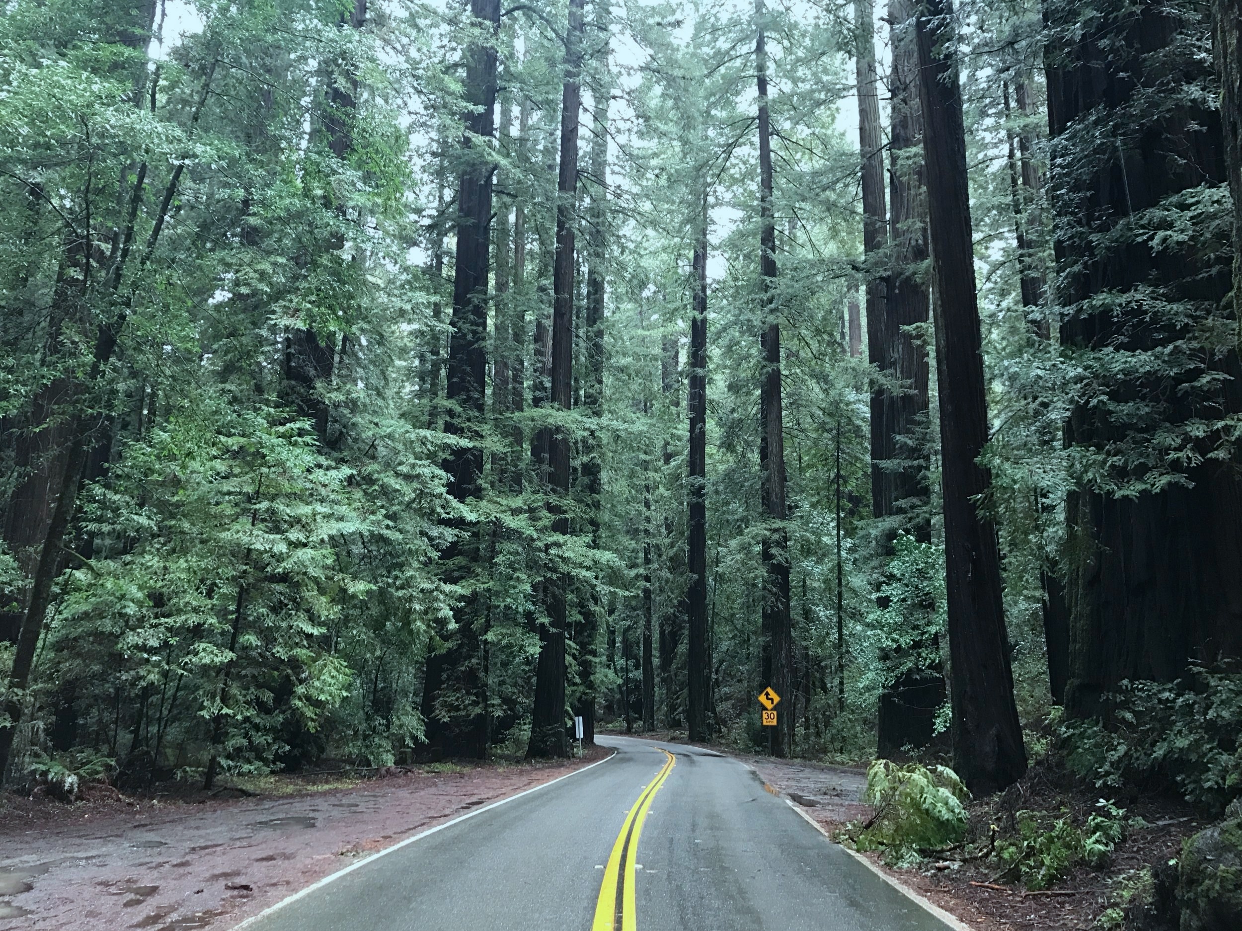 RUN TRIP - 1: LA ANTESALA: Oakland - Mendocino