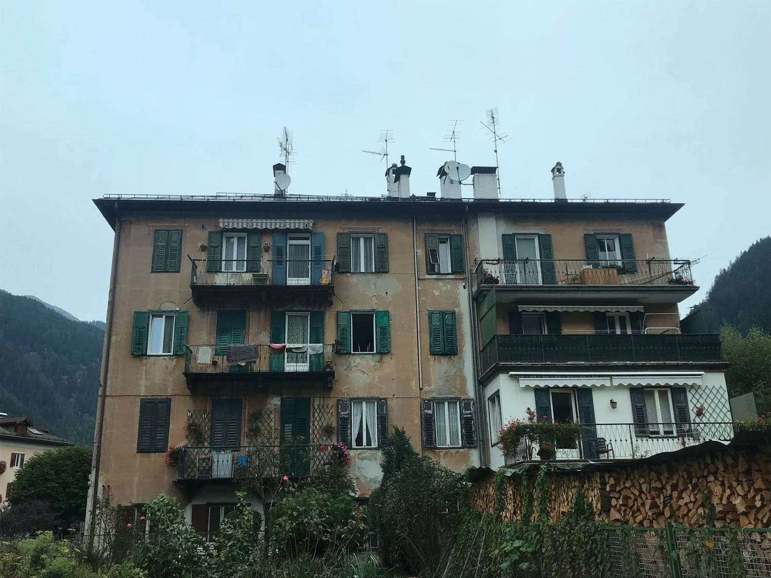 EL CAMARÓN DE KENTUCKY