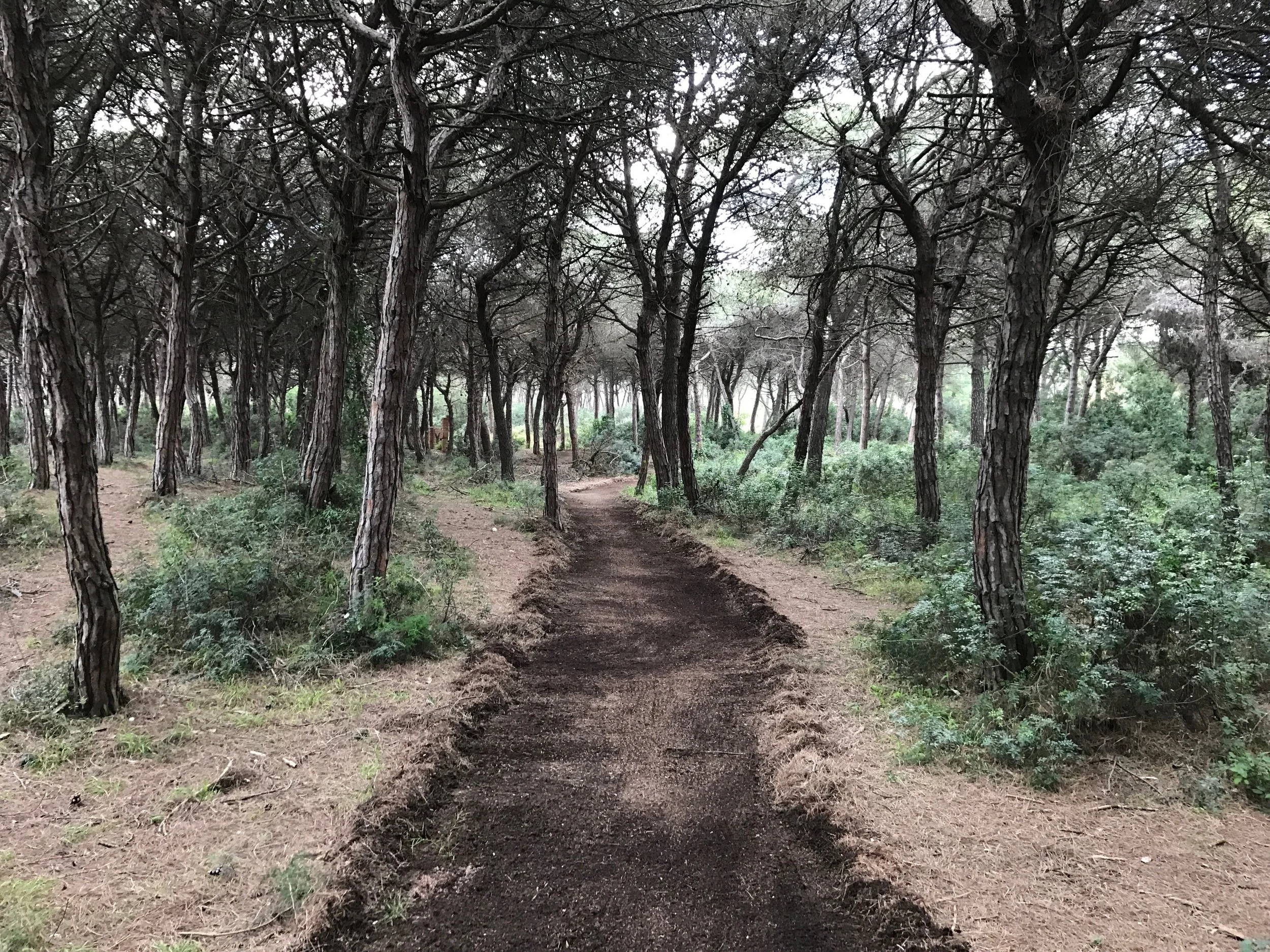 LE JARDIN DE LA LIBERTÉ